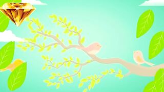 Zikar By Birds