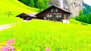 Beautiful nature videos