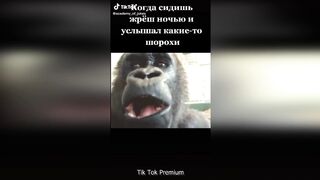 ПРИКОЛЫ В ТИК ТОК ДЛЯ ВЗРОСЛЫХ | ЛУЧШИЕ ПРИКОЛЫ 2021 | ЧУДИКИ ИЗ ТИК ТОК |