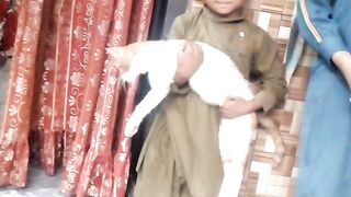 Beautiful cat and boy