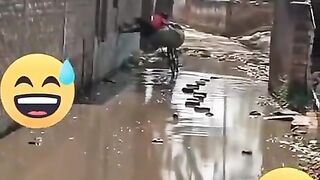 Best Pakistani Funny Video #funny