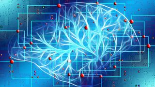 Exercise and Your Brain