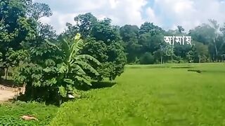 The beautiful nature