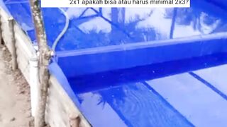 ALUR pemijahan yang LOGIS pasti menghasilkan BIBIT lele yang BERKUALITAS