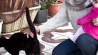 Saving a mama cat and 4 of her kittens who were abandoned before