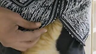 Kitten wants to hide under my jacket.