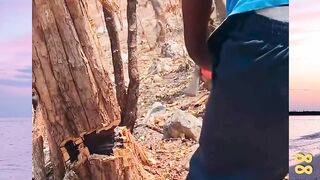 Kayu Seharga 241 Juta Per Gram versi bola88