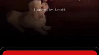 Di dalam rumah yang hanya diterangi lampu redup