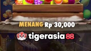 Rujak Bonanza lagi gacor cuyyy - Tigerasia88