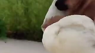 Wait for what happens next ????????