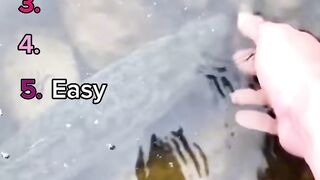 catching fish using bare hands