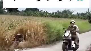 KANG DEDI MULYADI JATUH DI SAWAH ??
