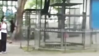 PENGUNJUNG KEBUN BINATANG DI SERANG ORANG UTAN!!