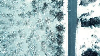 Winterhalter - directly above view of road in forest | Trending HD Video