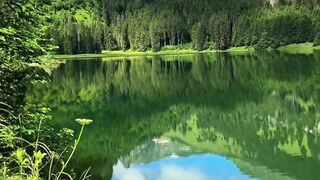 Beautiful nature 282