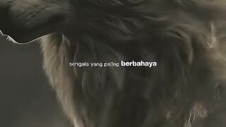 Berbahaya 2