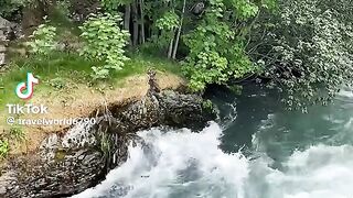 Awesome 35