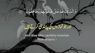 Quran e Hadees in Urdu