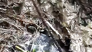 Looking for a fish or eel.. Thanks for watching..!! 93