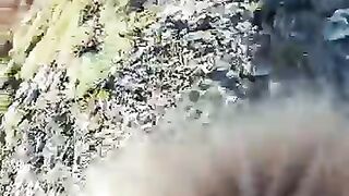 The best shot ever #mainecoon #cat