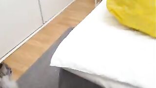 Buster Loves His Nemesis! #mainecoon #cat