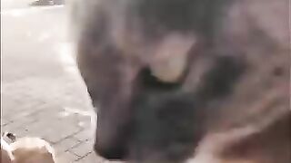 A kitten came and sat on my lap.