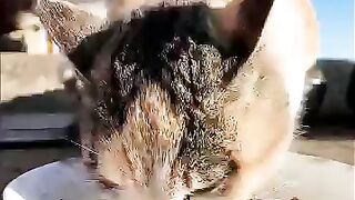 Breakfast meeting on Cat Island