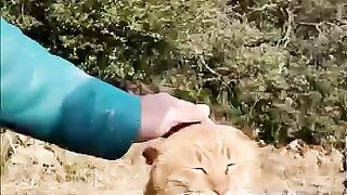 When I sat on the breakwater, a cat came over to me.