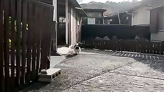 It said "guesthouse/restaurant," so I took a peek inside.