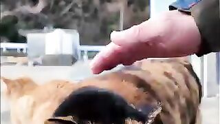 The cats at the fishing port are so cute!