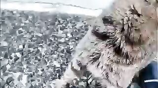 I met this cat in a fishing port town, and it was so cute how it climbed up on me because it wanted to be petted so badly.