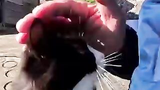 The kitten I found in an alley on Cat Island was just too cute