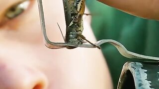 Film whats eating gilbert grape