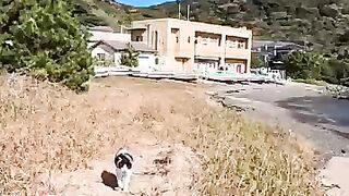 As I was walking along the beach, a cat came up from the sand and said something.