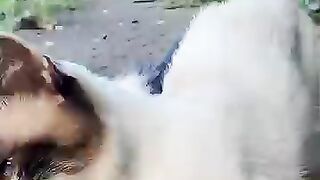 Two best friends cats