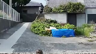 When I sat on the breakwater at Cat Island, a cat trotted over and sat down next to me.