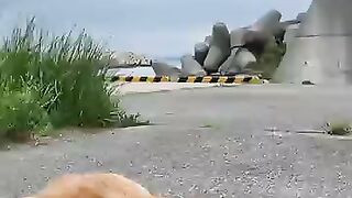 I was about to ride my motorcycle home when...a cat was waiting for me lol