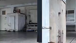 cat drinking water 2