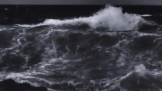 kelen percaya? #mermaid #radexn #sea #fypシ #fyp 2