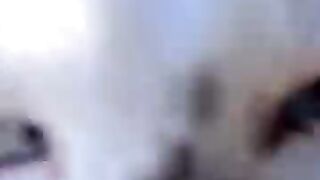 I saw a white kitten at the harbor that came over to be petted and it was so cute!