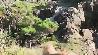 I went to a small shrine on the cliff edge with a cat I met at the port of Cat Island.