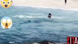 ATTACKED BY ORCA WHALE ON THE BEACH!!