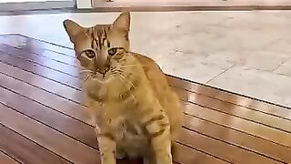 Istanbul is so much fun to explore its shopping malls!