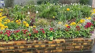 France ???????? vidéo.la belle à journée