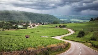 ✅Música Meditação para Relaxamento Profundo e Dormir Rápido Acordando Bem Disposto
