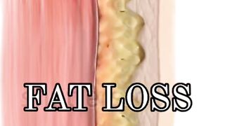 Flat Belly Workout ( 1 week challenge )????