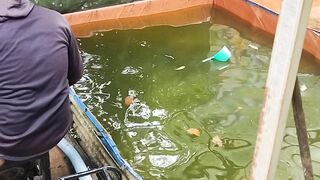 Proses pembuatan sumur bor agar air lebih berlimpah untuk budidaya lele