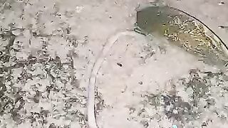 Looking for a fish or eel .. Thanks for watching..!! 3