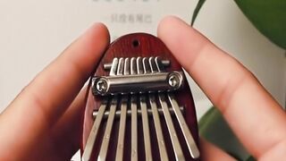 Satisfying Sounds from a Tiny Instrument! Exquisite Mini Kalimba
