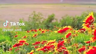 Beautiful scenery 33